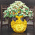 Arbre Chinois En Jade