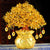 Arbre De Fortune Feng Shui Or