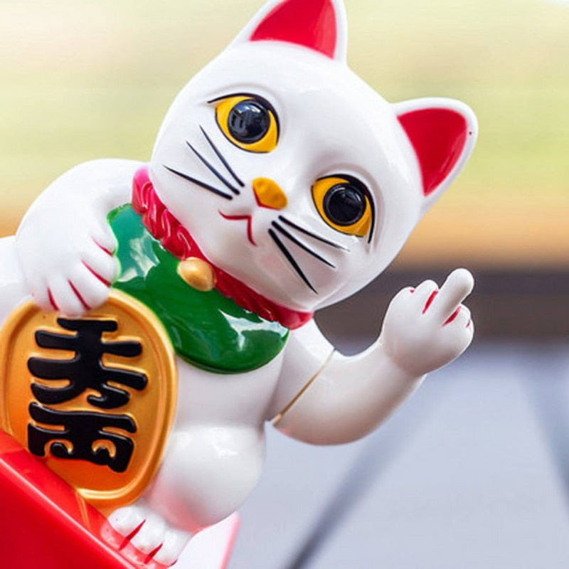 Chat Chinois Doigt D