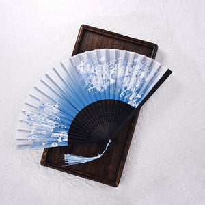 Éventail Chinois Tai Shi
