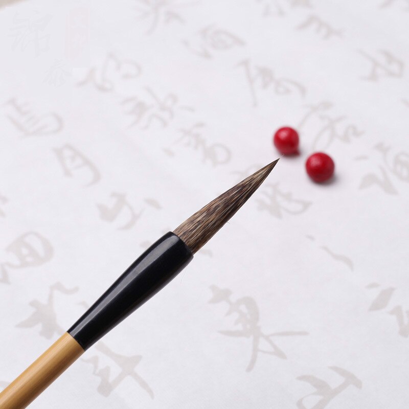 Lot De 10 Pinceaux Calligraphie Chinoise AOMAYLL - Professionnels Pour écriture Et Peinture Avec étui
