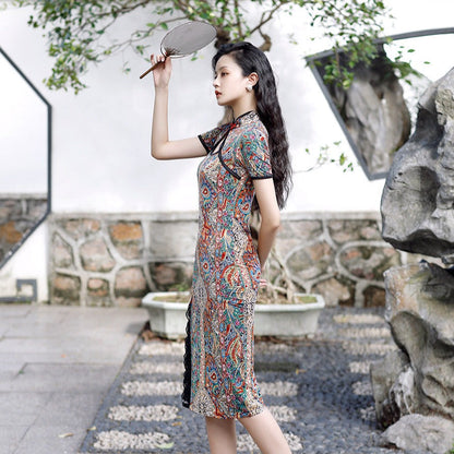 Robe Inspiration Chinoise Multicolore